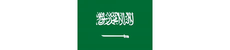 Saudi Arabia Soccer Jerseys, Personalized T Shirts Tees 